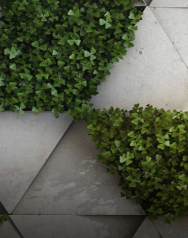 paysagiste Annemasse