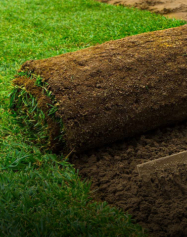 paysagiste Annemasse